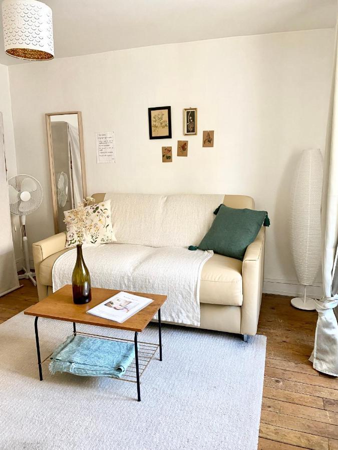 Apartmán Appart Cosy Dans Le Vieux Tours Exteriér fotografie